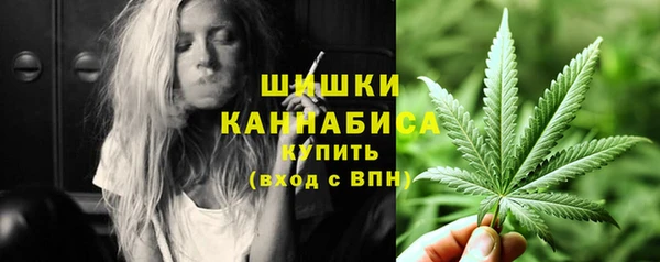 прущие грибы Лиски