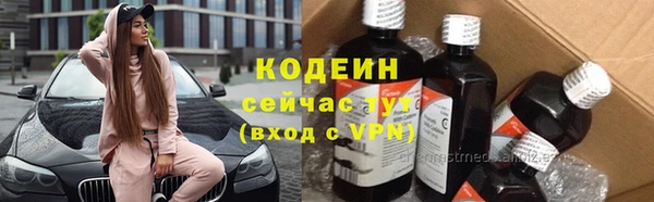 прущий лед Липки