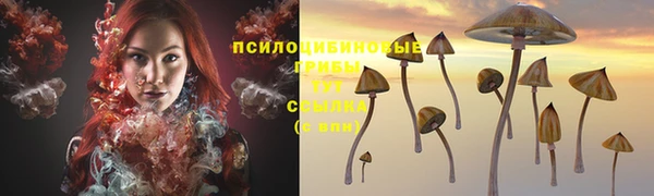 прущий лед Липки
