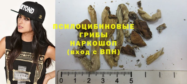 прущие грибы Лиски