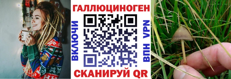 Галлюциногенные грибы мицелий Ачхой-Мартан